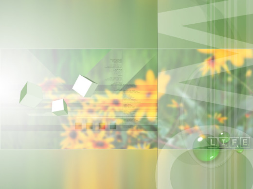 381669 (a): :1600x1200